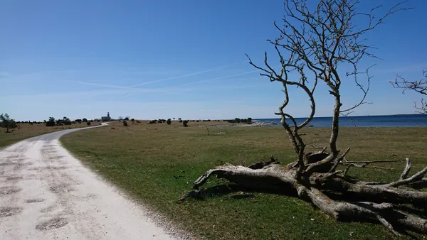 Storm Debris and Blocked Routes: Significant Monday Morning Delays Across Memphis