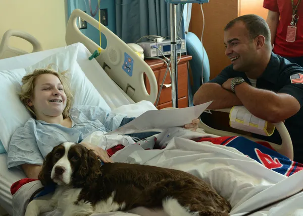 Deployed service member surrenders dog to Memphis shelter, highlighting local pressure on pet safety nets