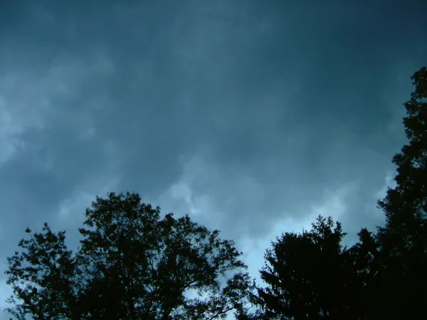 Grab a Light Jacket: A Cloudy Saturday With a Chance of Afternoon Sprinkles