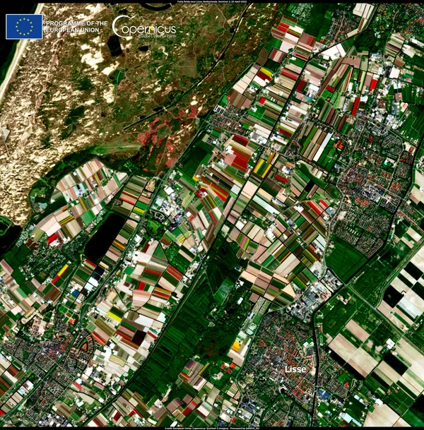 Thawing Out: A Slippery Start and a Field of 650,000 Tulips