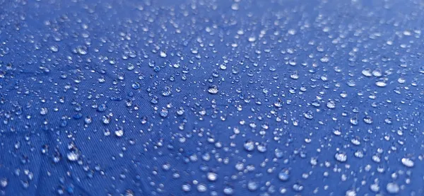 Umbrellas on Standby: Chilly Rain and Overcast Skies Move Into the Bluff City